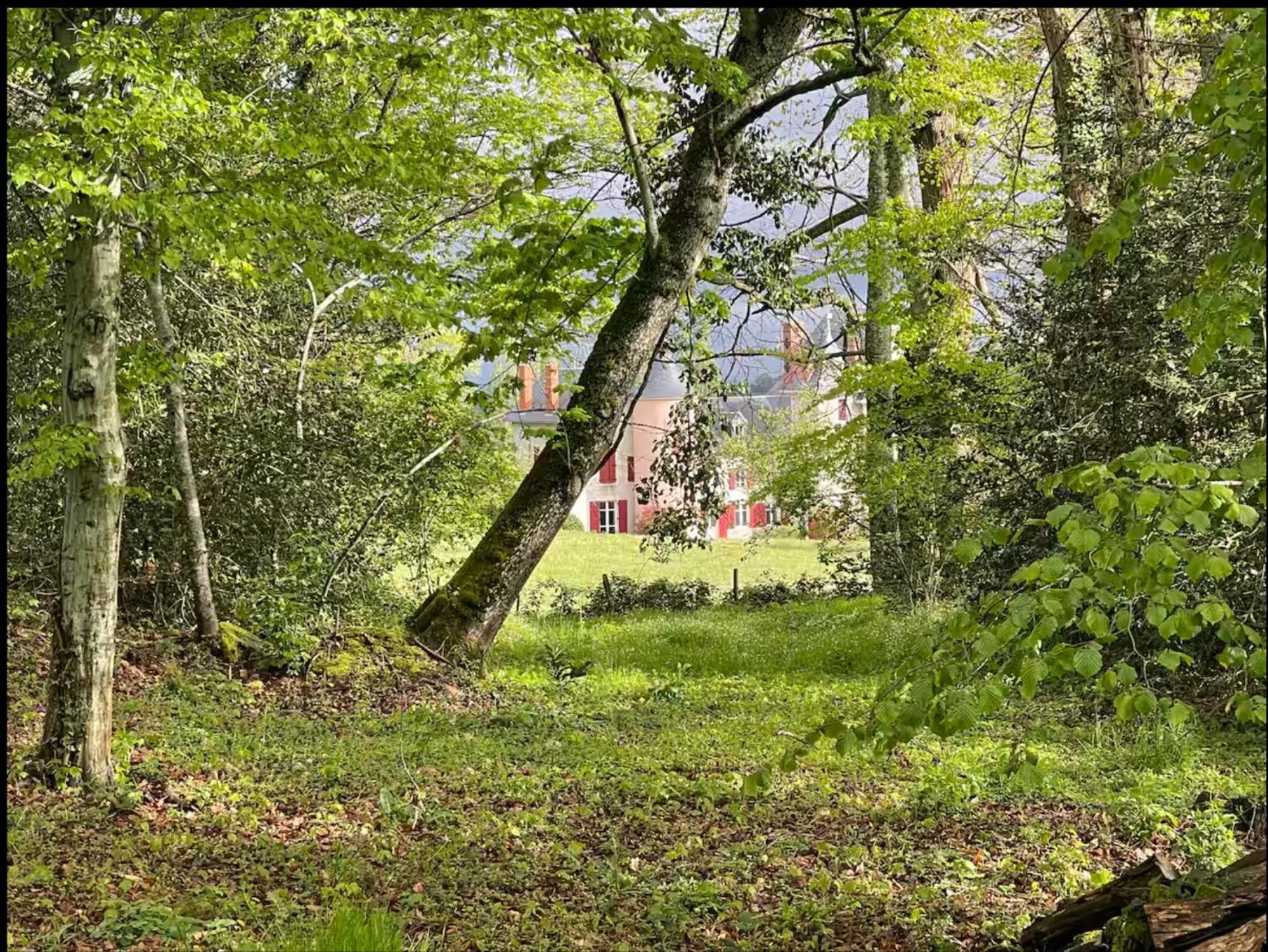 Chateau De La Combe La Celle  Eksteriør billede