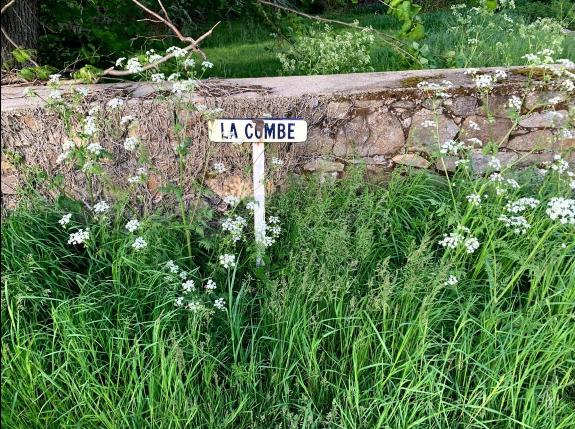 Chateau De La Combe La Celle  Eksteriør billede
